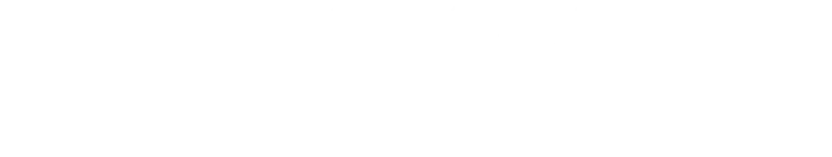 Talon Precision